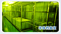 菲林檔案室